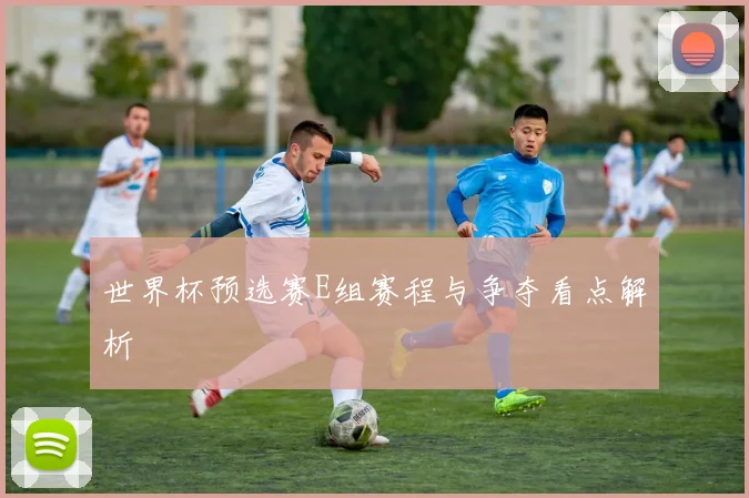 世界杯预选赛E组赛程与争夺看点解析