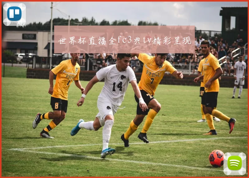 世界杯直播全fc3典tv精彩呈现