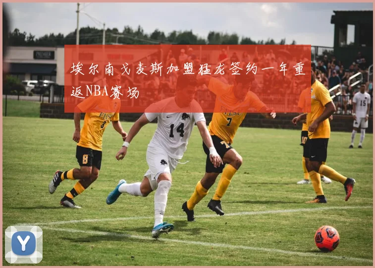 埃尔南戈麦斯加盟猛龙签约一年重返NBA赛场