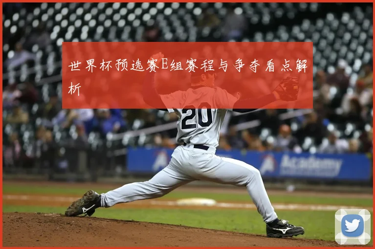世界杯预选赛E组赛程与争夺看点解析