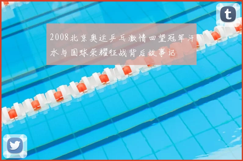 2008北京奥运乒乓激情回望冠军汗水与国球荣耀征战背后故事记