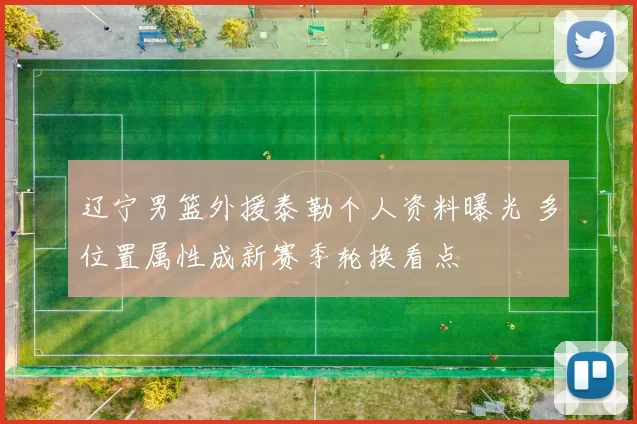 辽宁男篮外援泰勒个人资料曝光 多位置属性成新赛季轮换看点