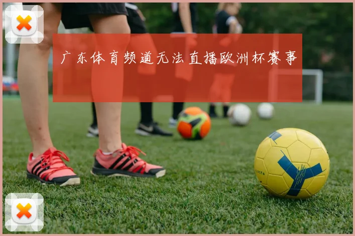 广东体育频道无法直播欧洲杯赛事