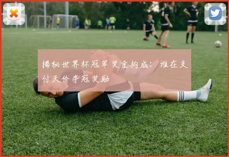 揭秘世界杯冠军奖金构成:谁在支付天价夺冠奖励